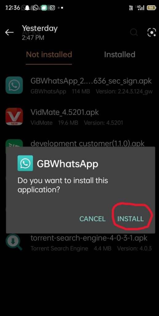 Step 3 Choose the Install Option